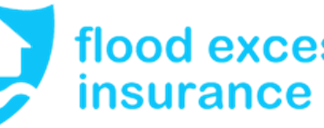 Flood Excess Insurance Company Logo